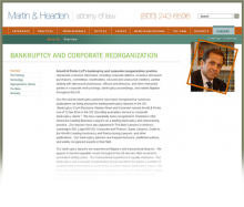 Subtle Colors Law Firm Concept