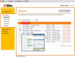 Ease the E-Shopping Burden with Billeo